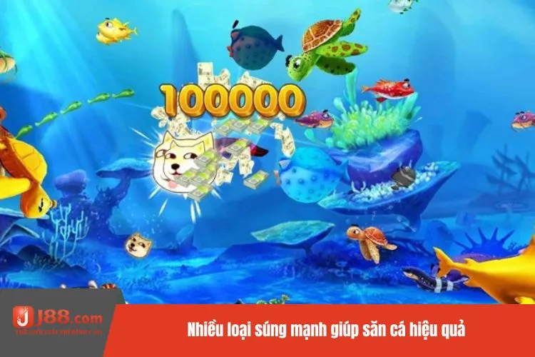 Nhiều loại súng mạnh giúp săn cá hiệu quả