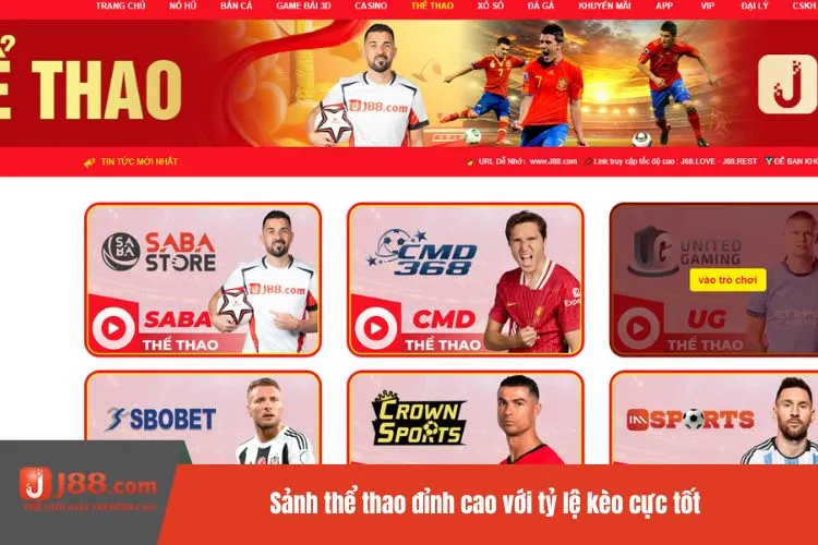 Sảnh thể thao đỉnh cao với tỷ lệ kèo cực tốt