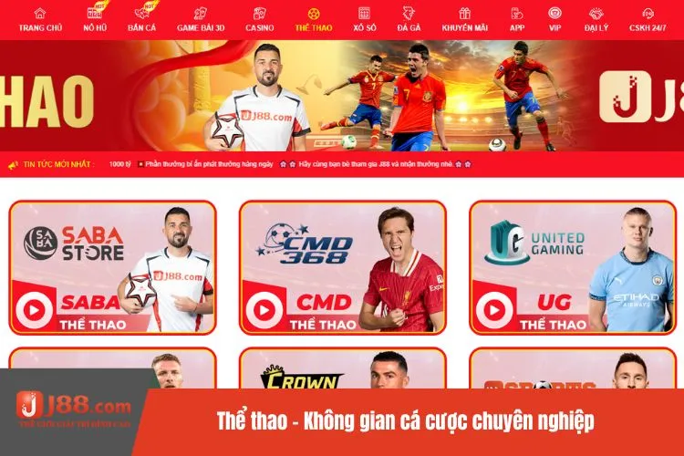 Thể thao – Không gian cá cược chuyên nghiệp