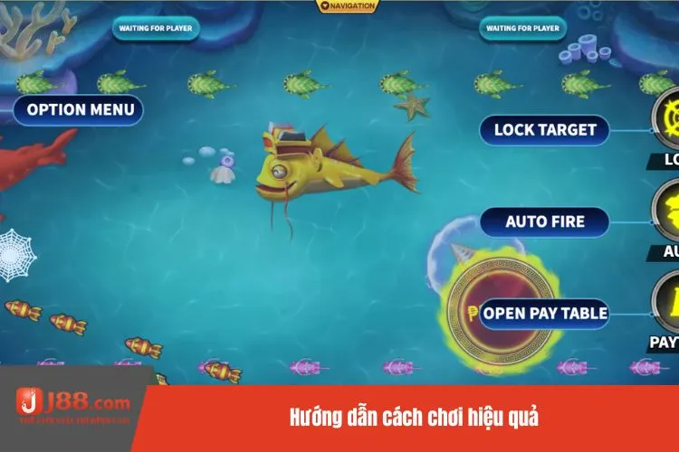 Hướng dẫn cách chơi hiệu quả